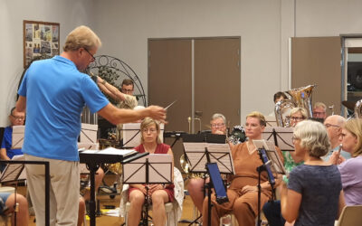 Zomerconcert in Lingehof